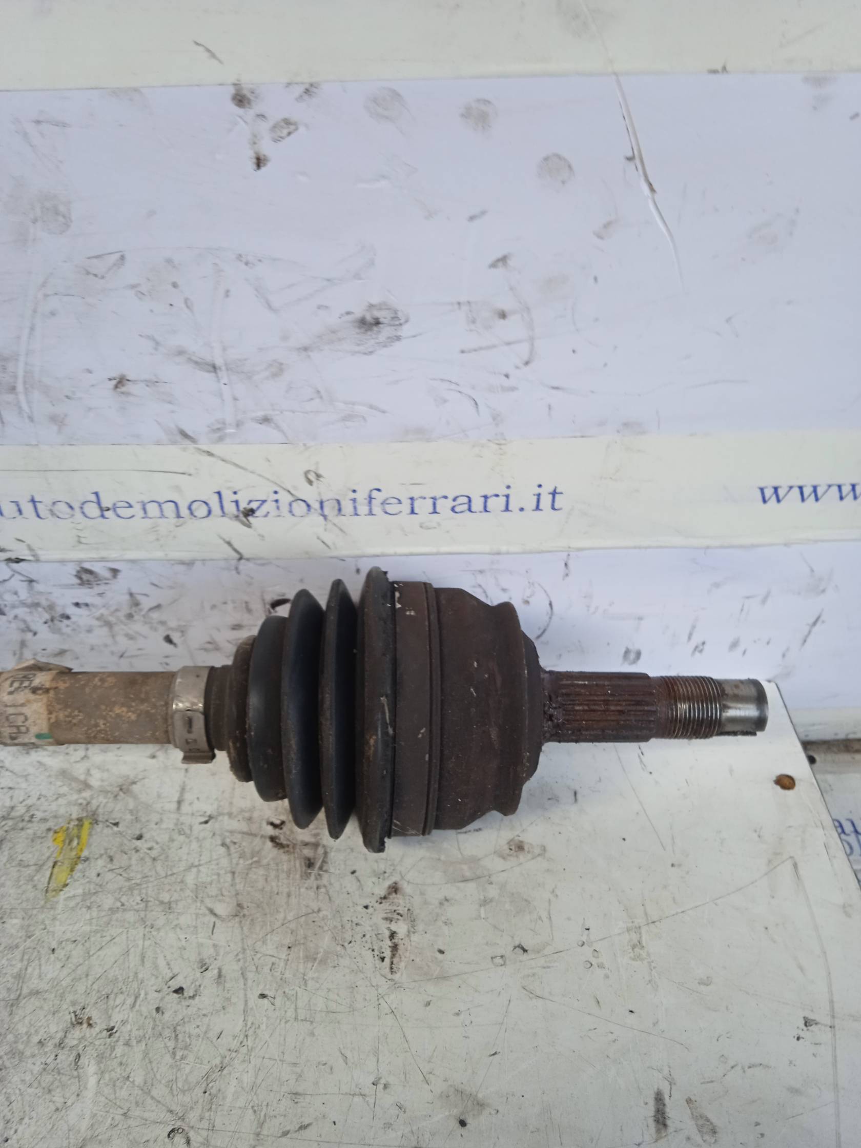 Semialbero ant. compl. sx.